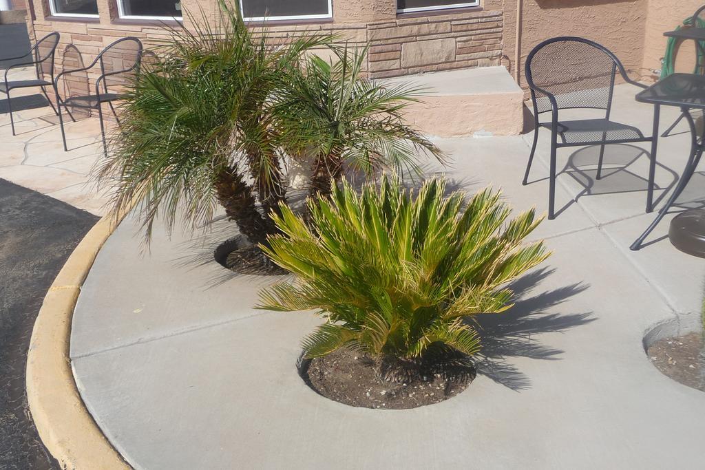 Palms Inn Gila Bend Extérieur photo
